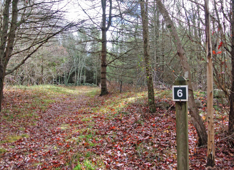 trail past Isaac Miller Homestead at Copicut Woods in Fall River