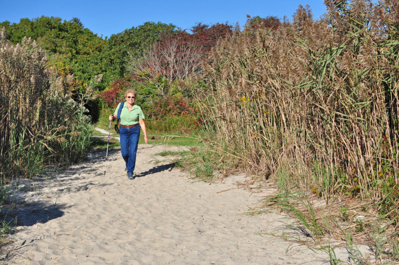 a woman walks down the trail at the Munn Preserve in Mattapoisett