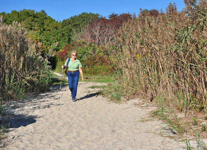 a woman walks down the trail at the Munn Preserve in Mattapoisett