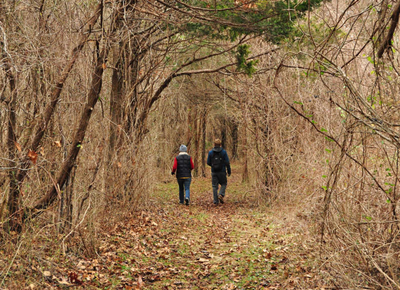 two people walking through the woods at The Let Conservation Area