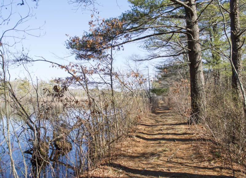 trail past a wooded pond at Washburn Park in Marion