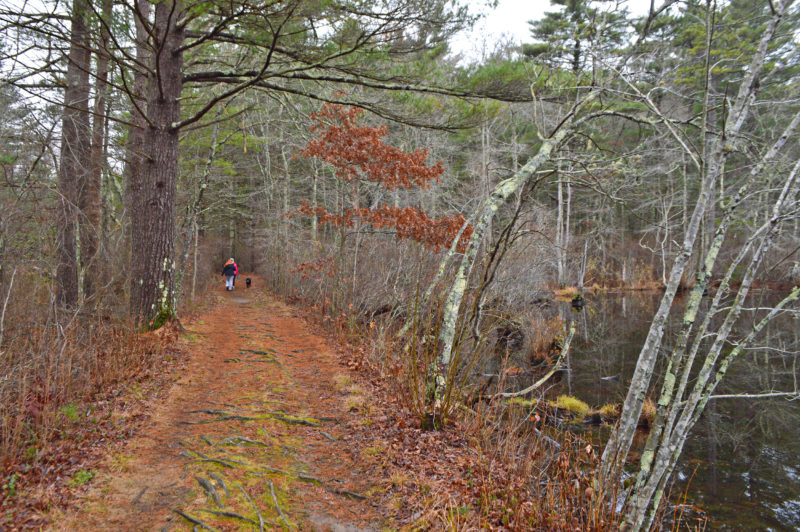 people walking a dog on a trail past a pond at Washburn Park in Marion