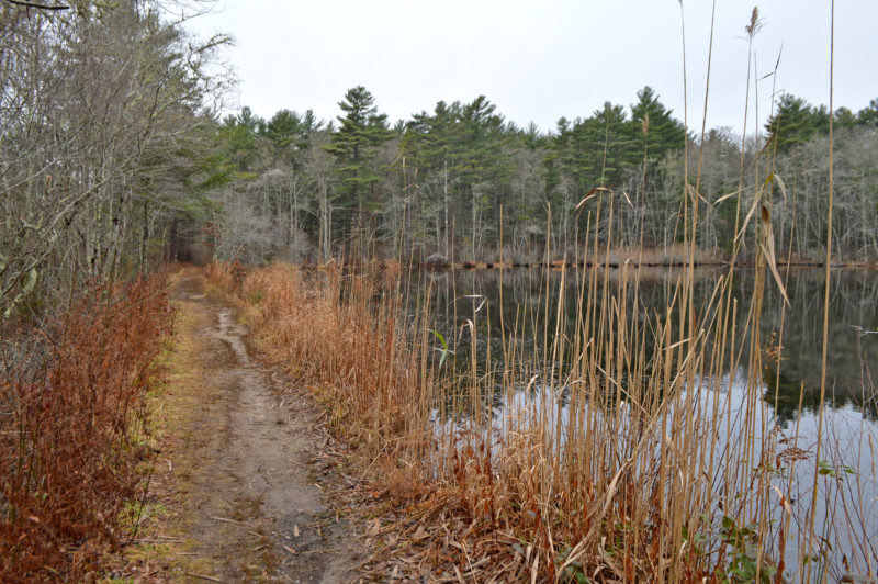 trail past a wooded pond at Washburn Park in Marion