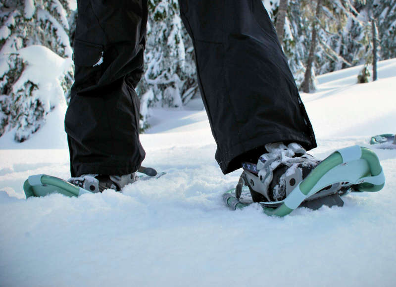 a person standing in the woods wearing a pair of snowshoes