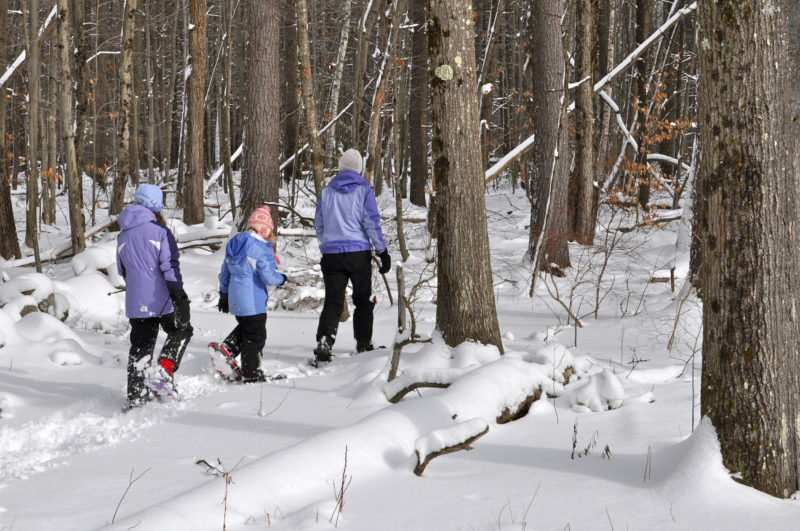 a mother and two daughters snowshoeing through the woods