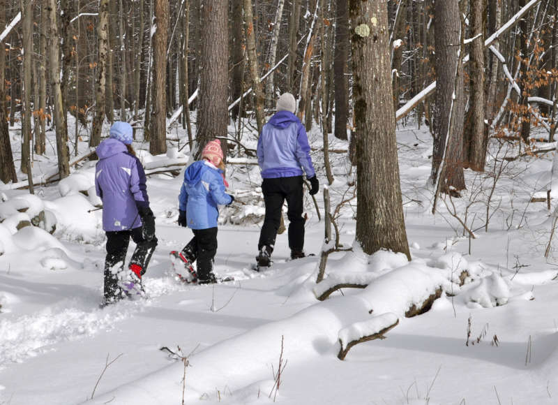 a mother and two daughters snowshoeing through the woods