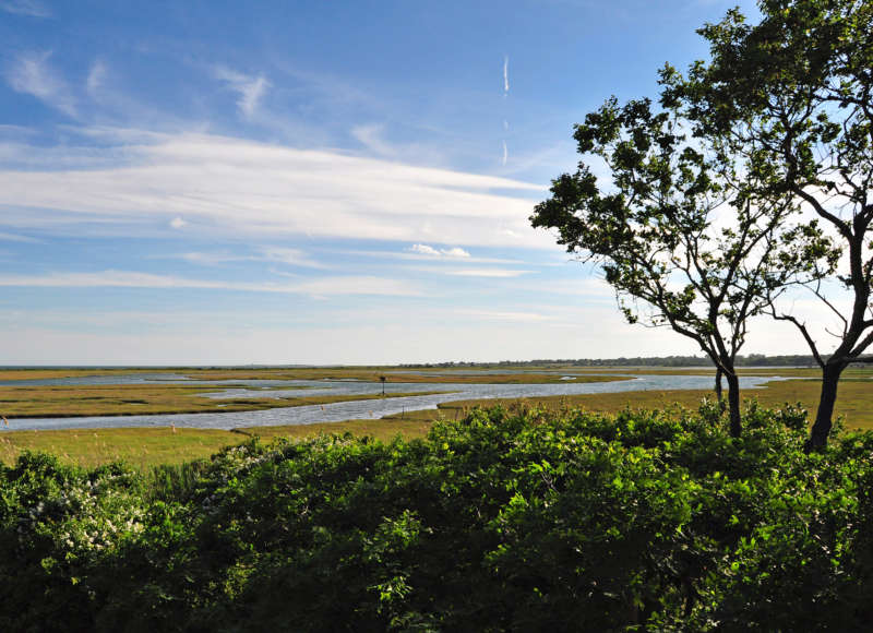 salt marshes on Allens Pond in Dartmouth