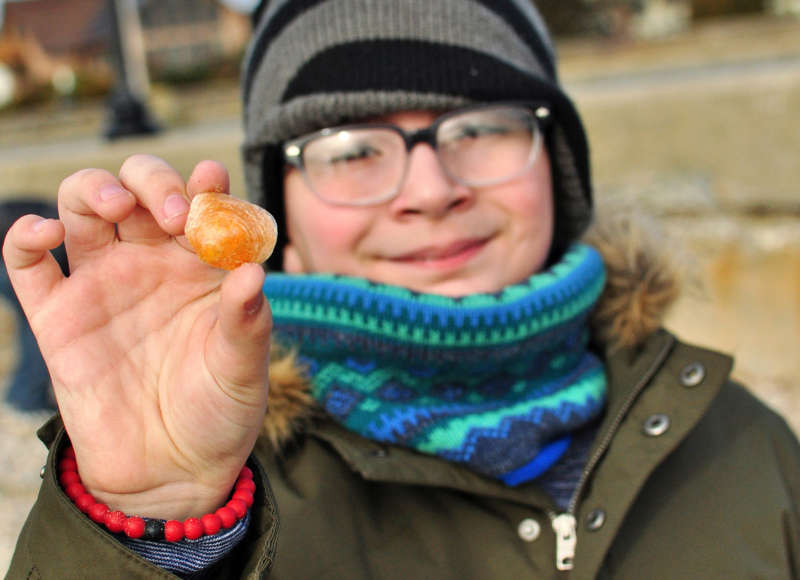 boy holding up a mermaid’s toenail shell he found on East Beach during Sea Lab