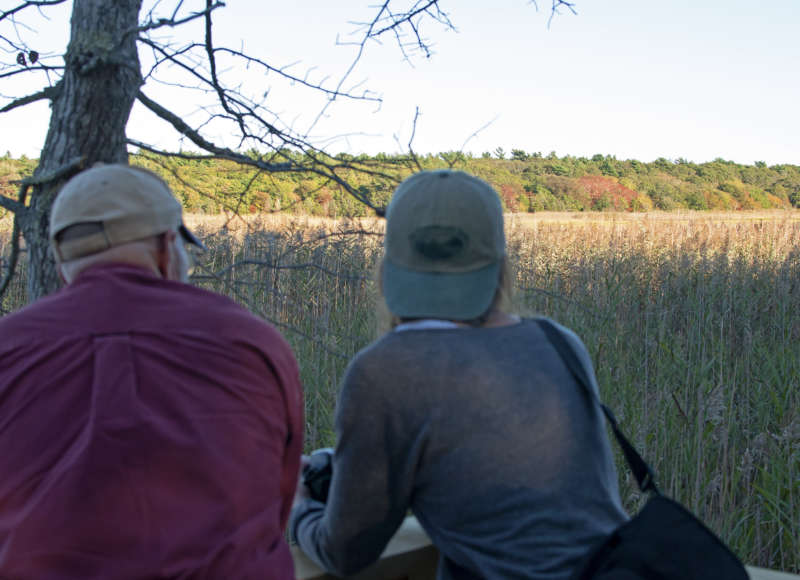 two people looking out over a salt marsh from an observation platform at Brandt Island Cove District in Mattapoisett