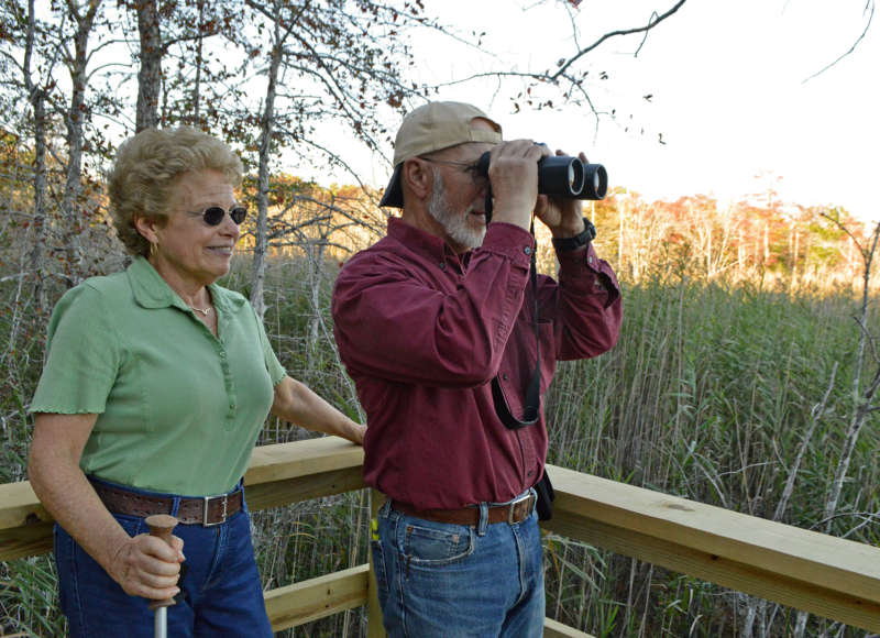 two people looking for birds from an observation platform at Brandt Island Cove District in Mattapoisett