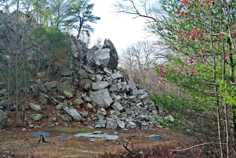 Profile Rock at Freetown-Fall River State Forest