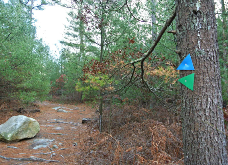 marked trail through the woods at Freetown-Fall River State Forest