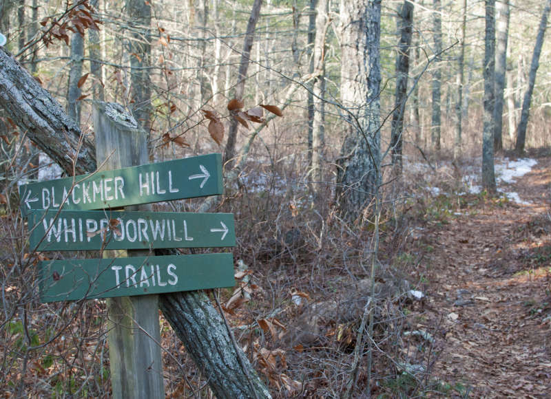 trail signs in the woods at Halfway Pond Conservation Area in Plymouth