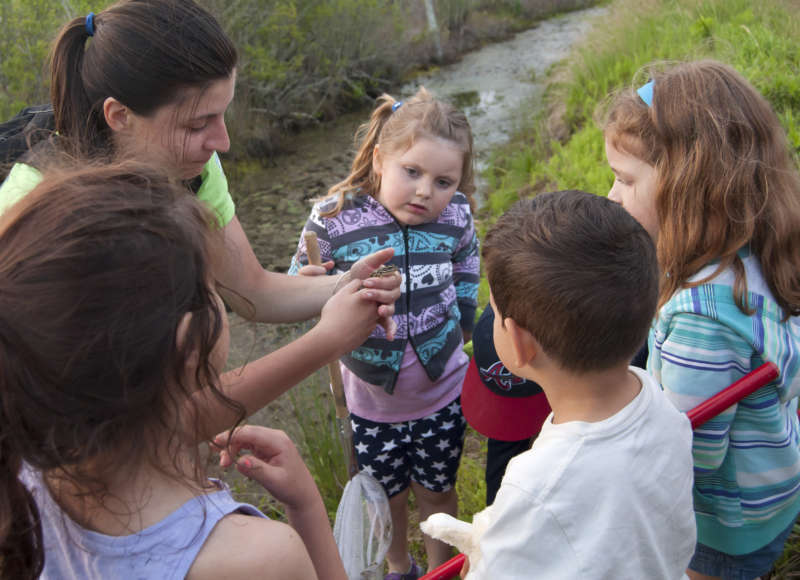 kids looking at a frog held by a Buzzards bay Coalition educator