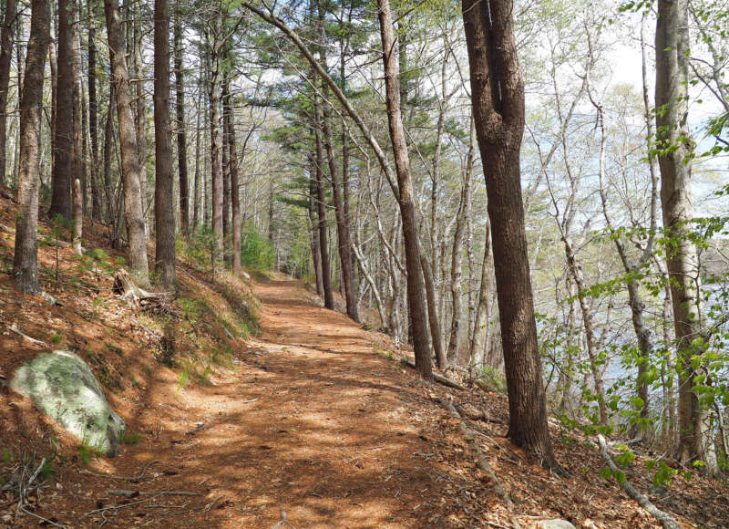 glacial moraine trail in Falmouth