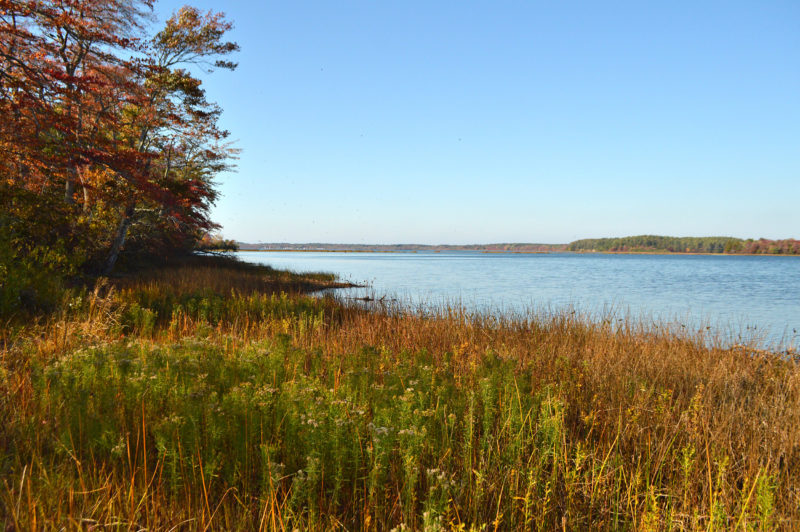 view of Assawompset Pond from Betty's Neck in Lakeville