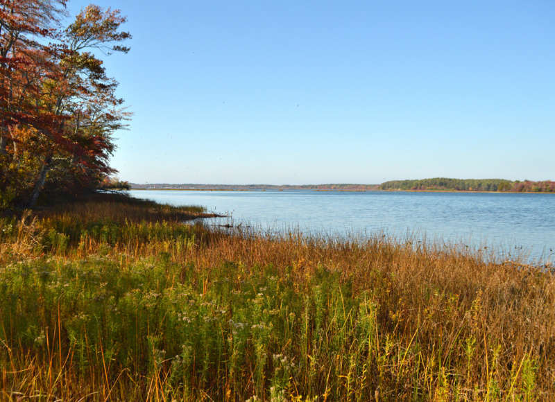 view of Assawompset Pond from Betty's Neck in Lakeville