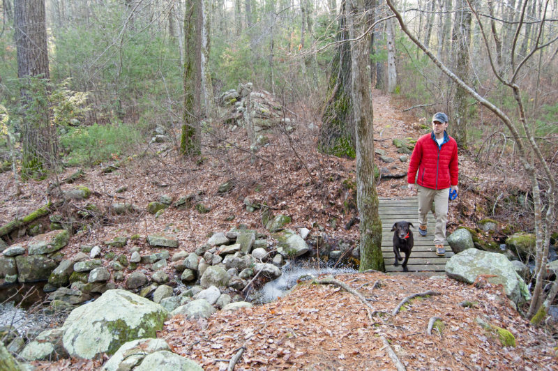 a man and a dog walking through the woods at Ridge Hill Reserve in Dartmouth