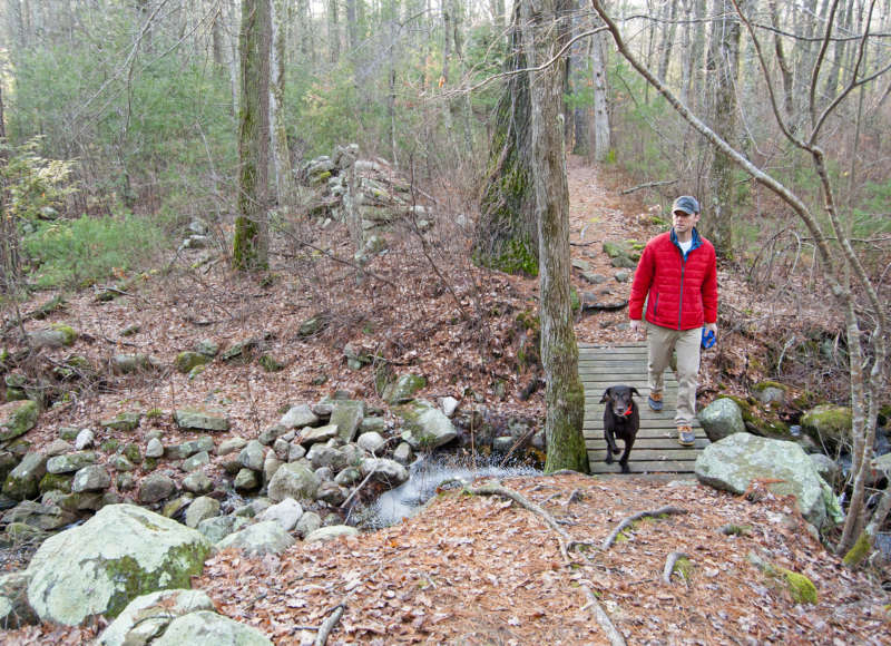 a man and a dog walking through the woods at Ridge Hill Reserve in Dartmouth