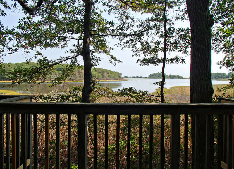 view of Nonquitt Marsh from observation deck at Smith Farm in Dartmouth