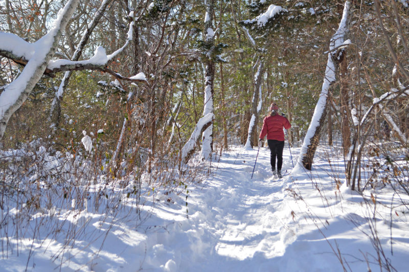 woman cross-country skiing on trail at Destruction Brook Woods