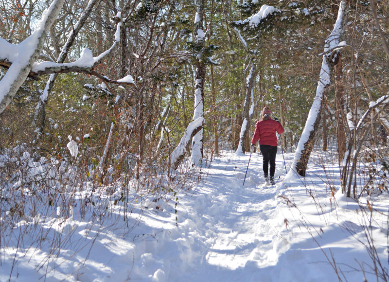 woman cross-country skiing on trail at Destruction Brook Woods