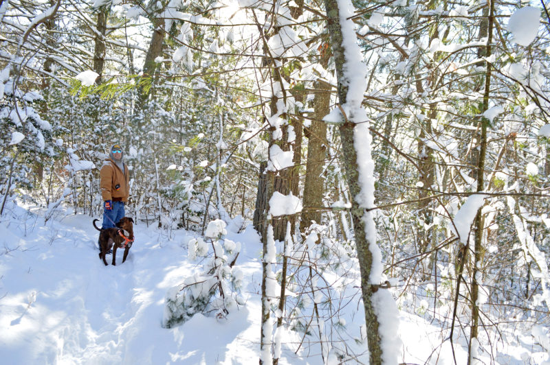 man and dog in snow at Destruction Brook Woods