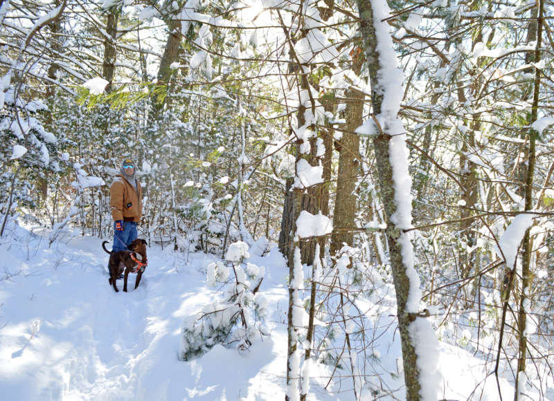 man and dog in snow at Destruction Brook Woods