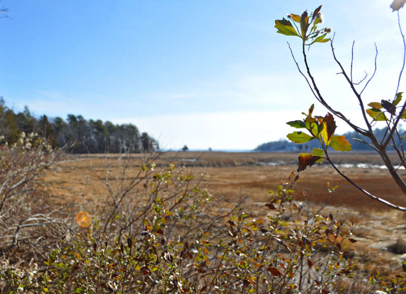 view of Marks Cove in Wareham