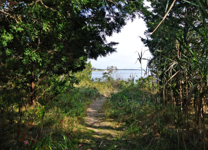 path through the woods to the water at Brainard Marsh in Marion