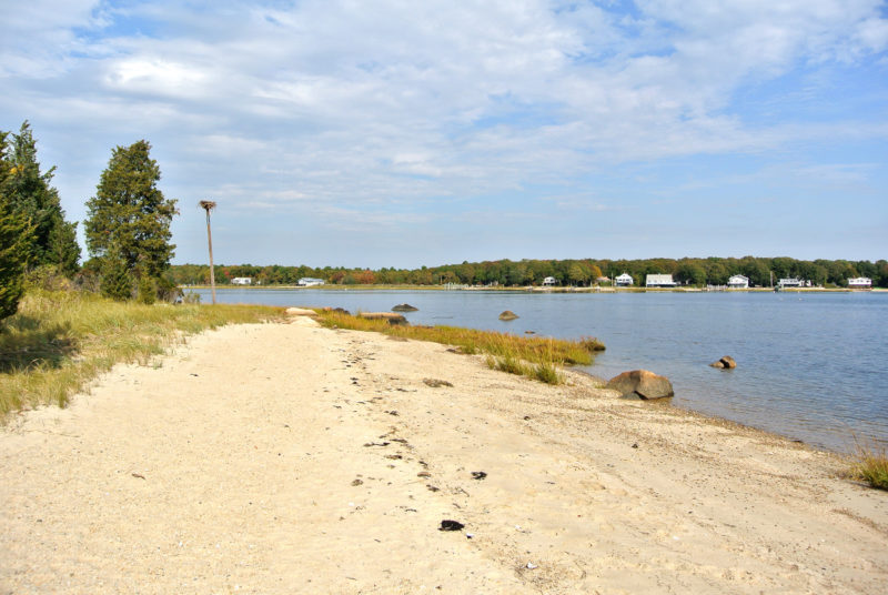 sandy beach at Brainard Marsh in Marion