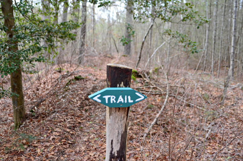 hand-painted trail sign in the woods at Doggett's Brook in Rochester