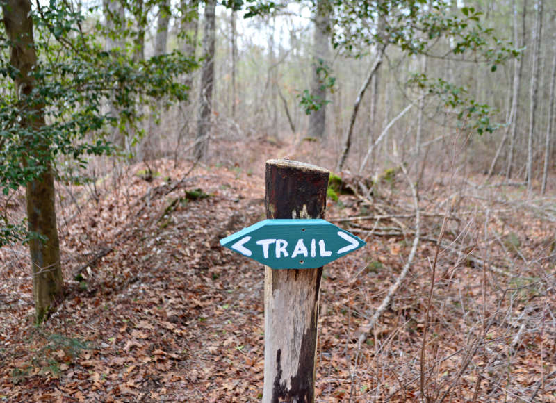hand-painted trail sign in the woods at Doggett's Brook in Rochester