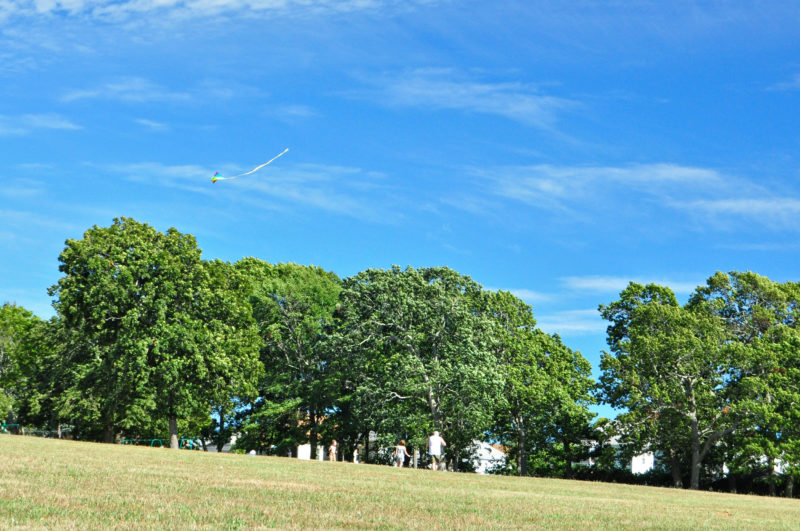 family flying a kite at Hazelwood Park in New Bedford