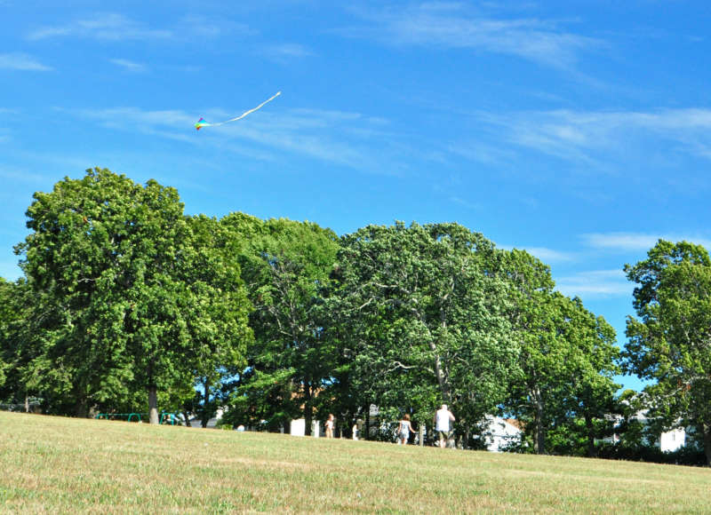 family flying a kite at Hazelwood Park in New Bedford