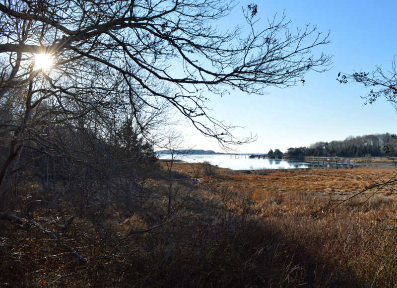 view of Blankenship Cove and Sippican Harbor from Peirson Woods in Marion