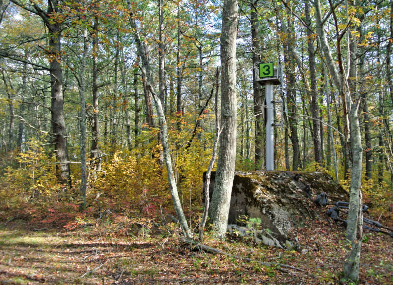 remnants of old radio towers in Aucoot Woods in Marion