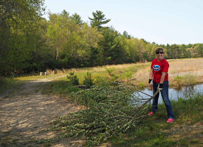 woman holding a tree branch on a trail at The Bogs in Mattapoisett