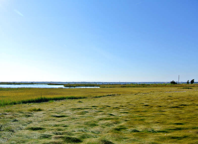 Winsegansett Marsh in Fairhaven