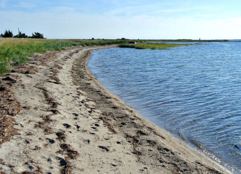 sandy beach at Winsegansett Marshes in Fairhaven