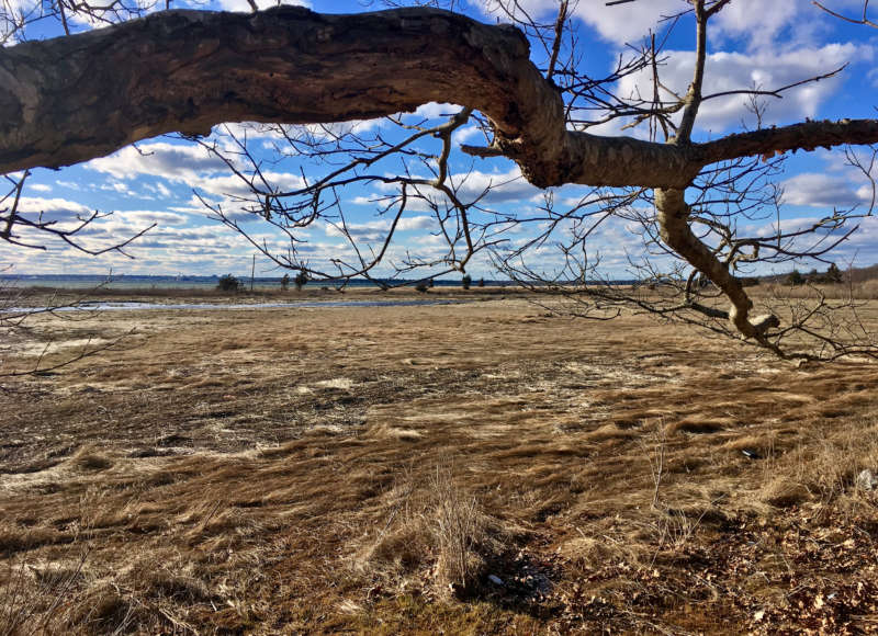 Winsegansett Marsh in Fairhaven in winter