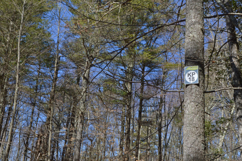 sign on a tree in the Southeastern Massachusetts Bioreserve