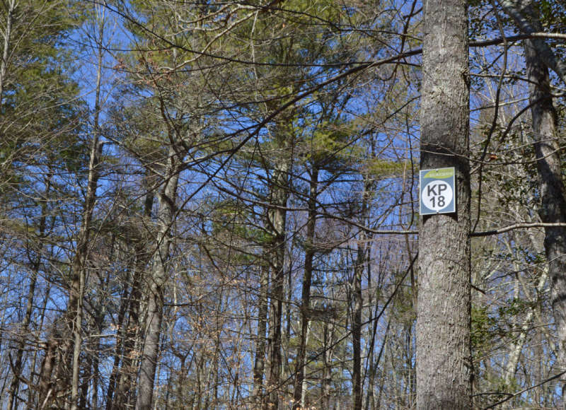 sign on a tree in the Southeastern Massachusetts Bioreserve