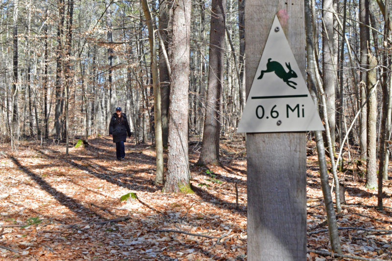 woman walking on a trail at the Watuppa Reservation in Fall River