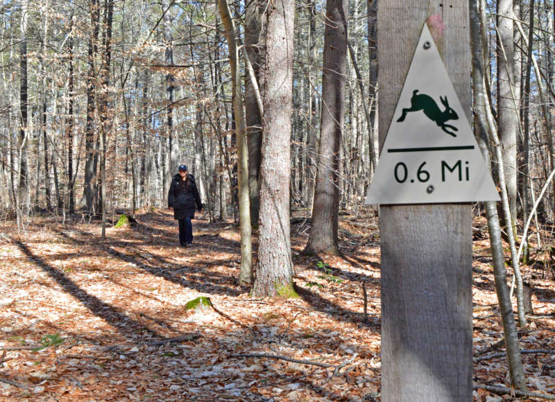 woman walking on a trail at the Watuppa Reservation in Fall River