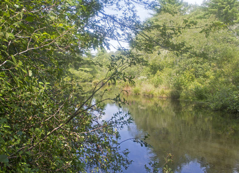 Copicut River at Howland Reserve in Dartmouth