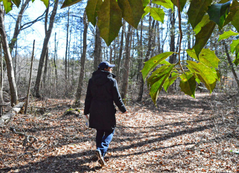 woman walking on a trail at the Watuppa Reservation in Fall River
