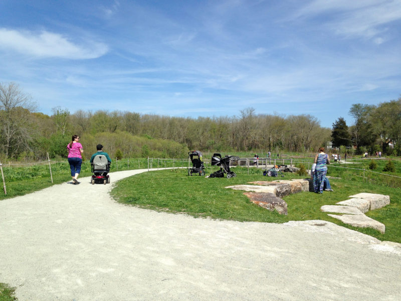 people using wheelchairs and strollers at The Sawmill in Acushnet