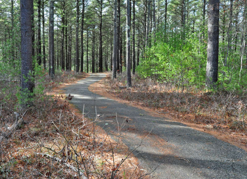 paved bike path in Myles Standish State Forest