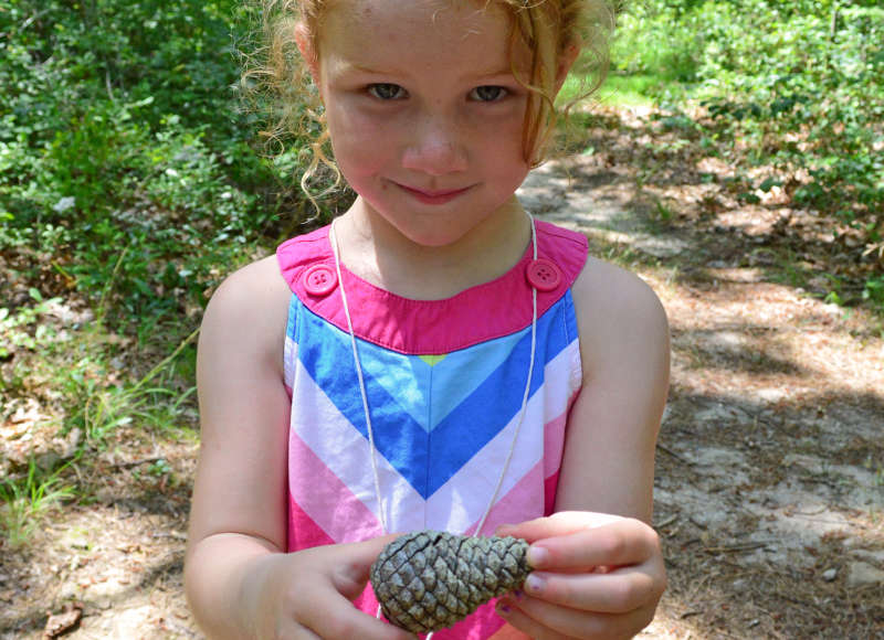 girl holding a pine cone in Beebe Woods in Falmouth